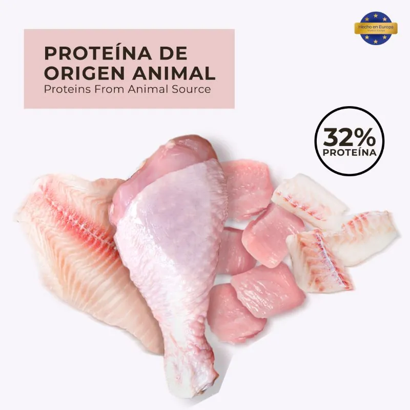 True Nature - Alimento Kitten Pollo, Pescado y Vegetales