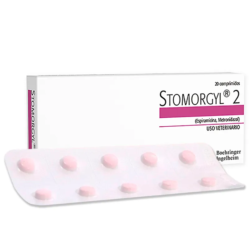 Stomorgyl 2.