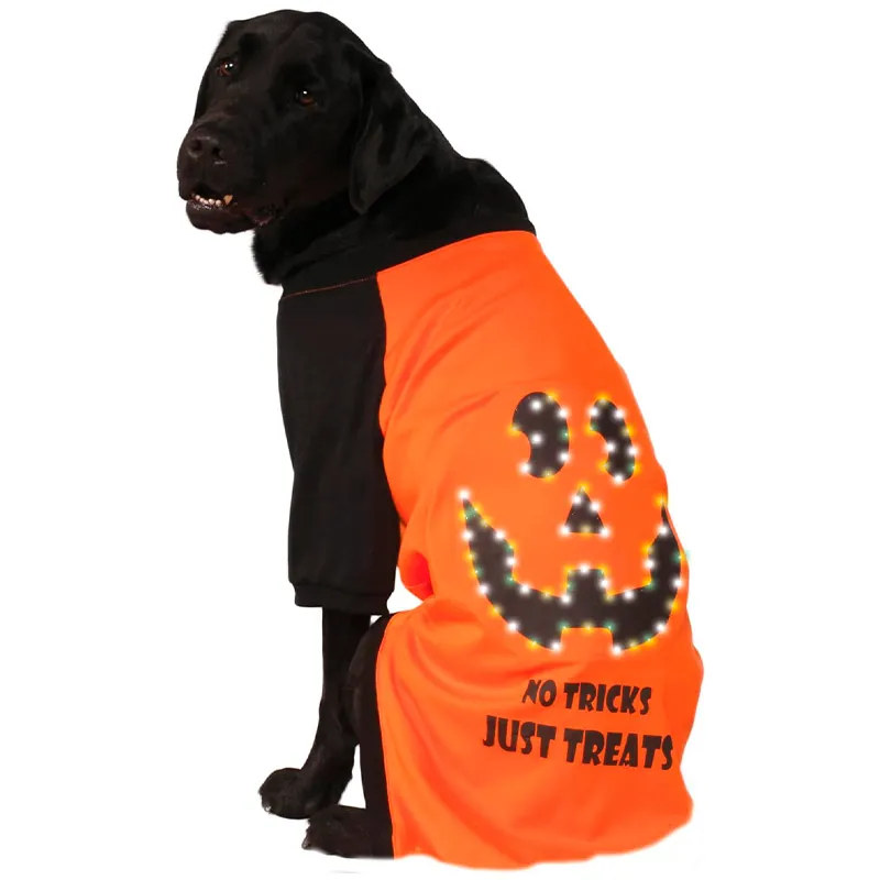 Disfraces Americanos - No Tricks Just Treats Mascota