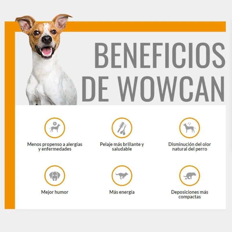 Wow Can - Pollo y Ternera XL Al Vapor Cocinado sin Refrigeración