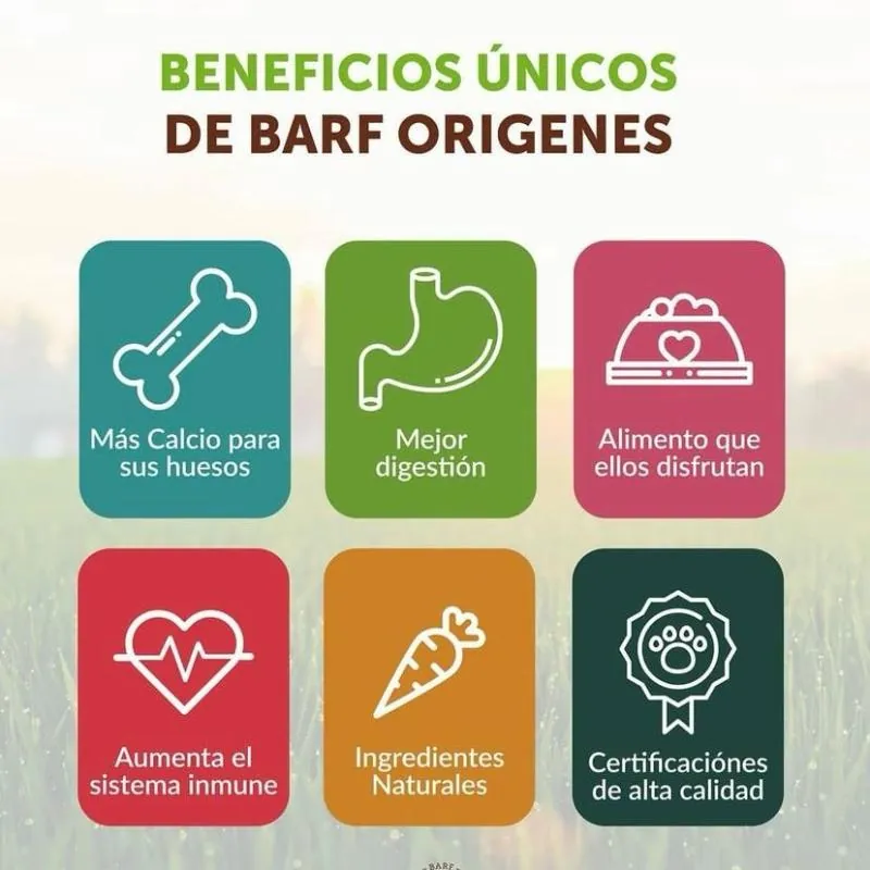 Barf Origenes - Alimento Congelado Menú Cachorros Carne de Pollo
