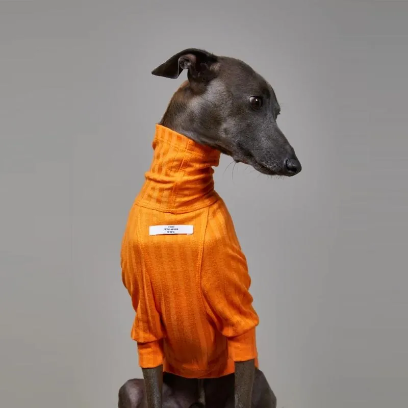The Striped Dog - Suéter Naranja Cuello Tortuga