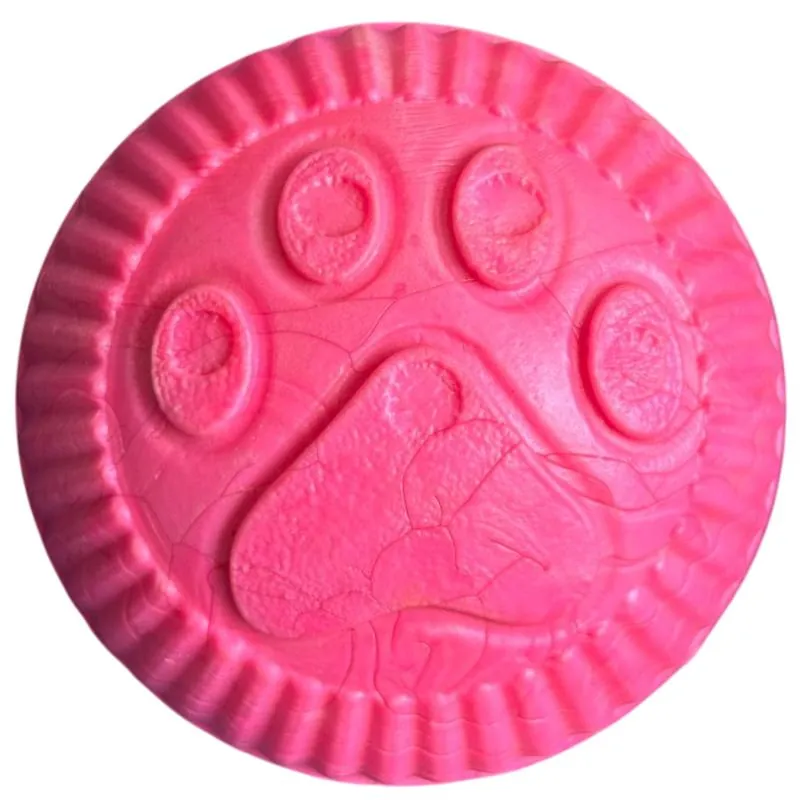 Paw Day - Pelota Mediana