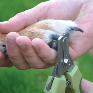 Safari - Perro Cortaúñas Profesional.