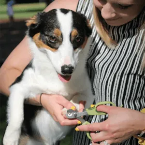 Safari - Corta Uñas Deluxe Para Perro