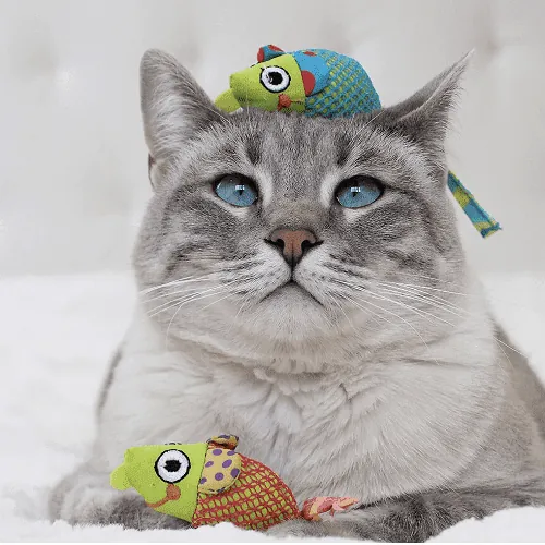Petstages - Ratones Con Catnip.
