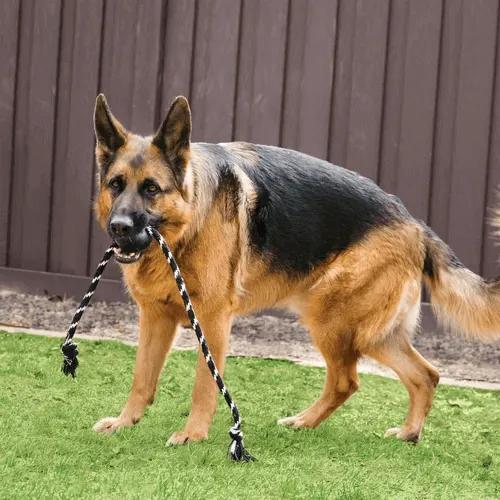 Kong - Extreme Pelota Con Lazo