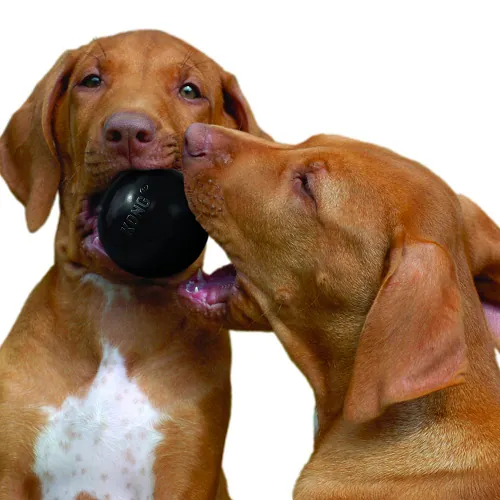 Kong - Pelota Extreme Medium.