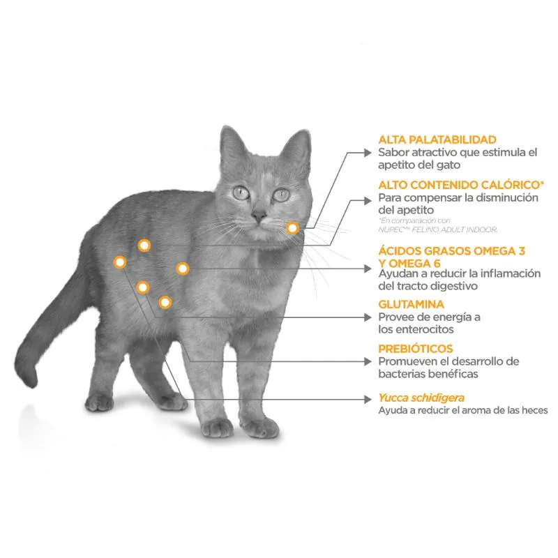 Nupec - Felino Digestive Health