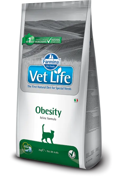 Vet Life - Gatos Obesity