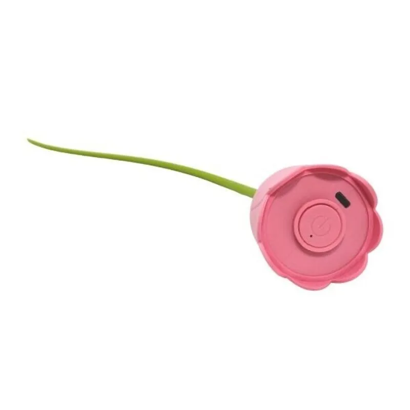 Paw Day - flor interactiva