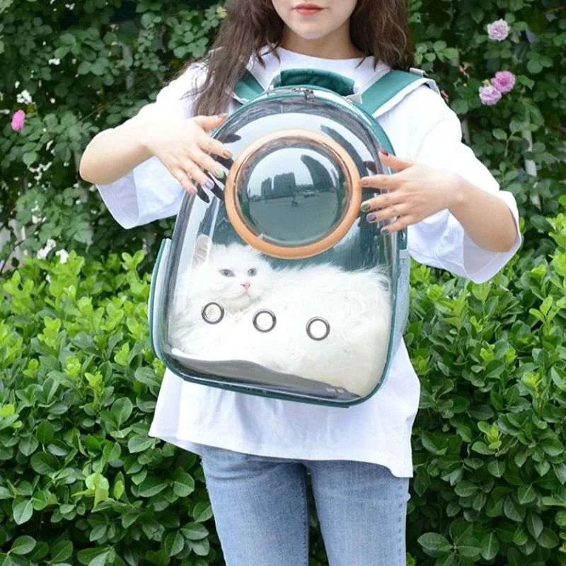 Calabaza Pets - Morral Transparente Con Cápsula