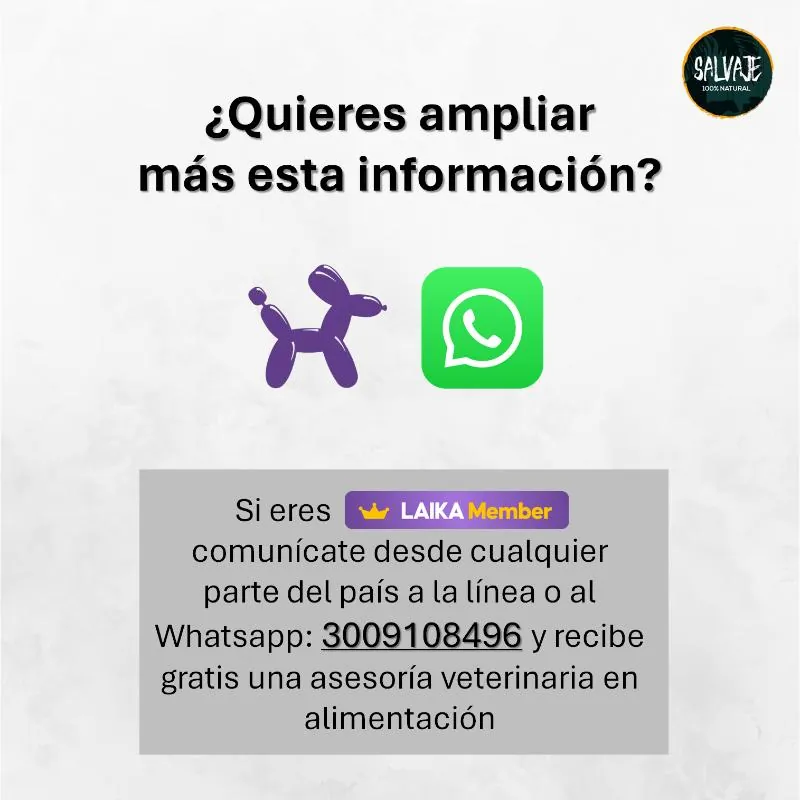 Salvaje - Dieta Cocinada Al Vapor Natural sin Refrigeración de Salmón