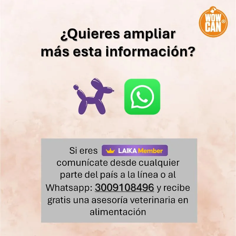Wow Can - Pollo y Ternera XL Al Vapor Cocinado sin Refrigeración
