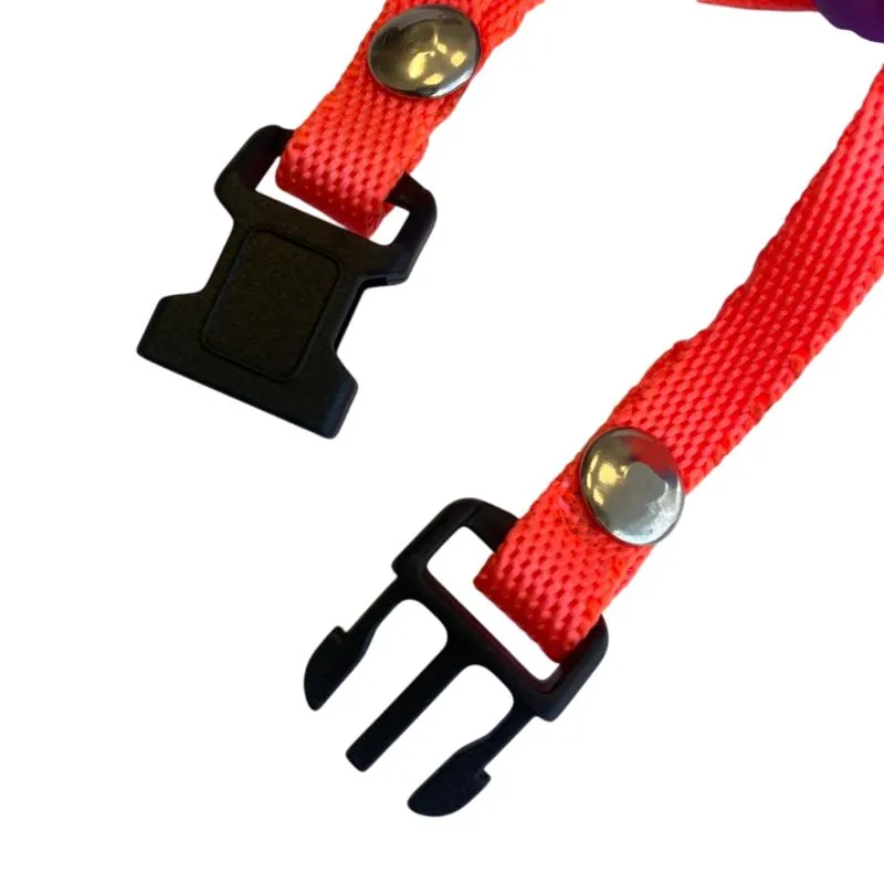 Paw Day - Dispensador Goma Negro ** Gratis 1 Rollo Bolsas