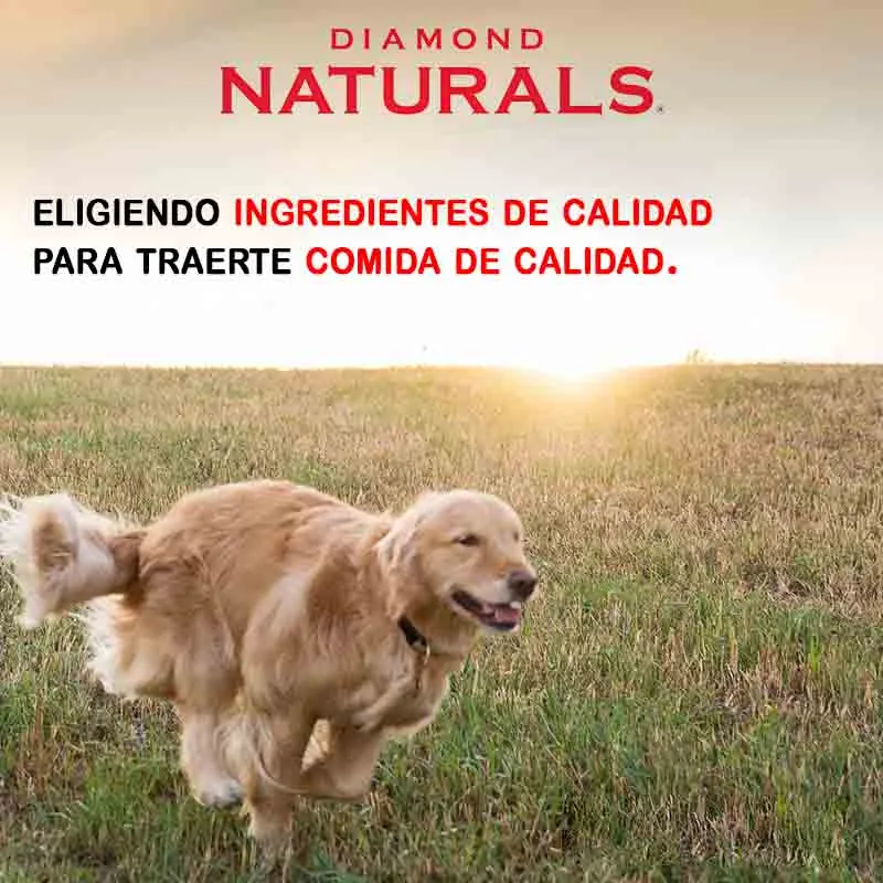 Diamond Naturals - Lamb Meal & Rice