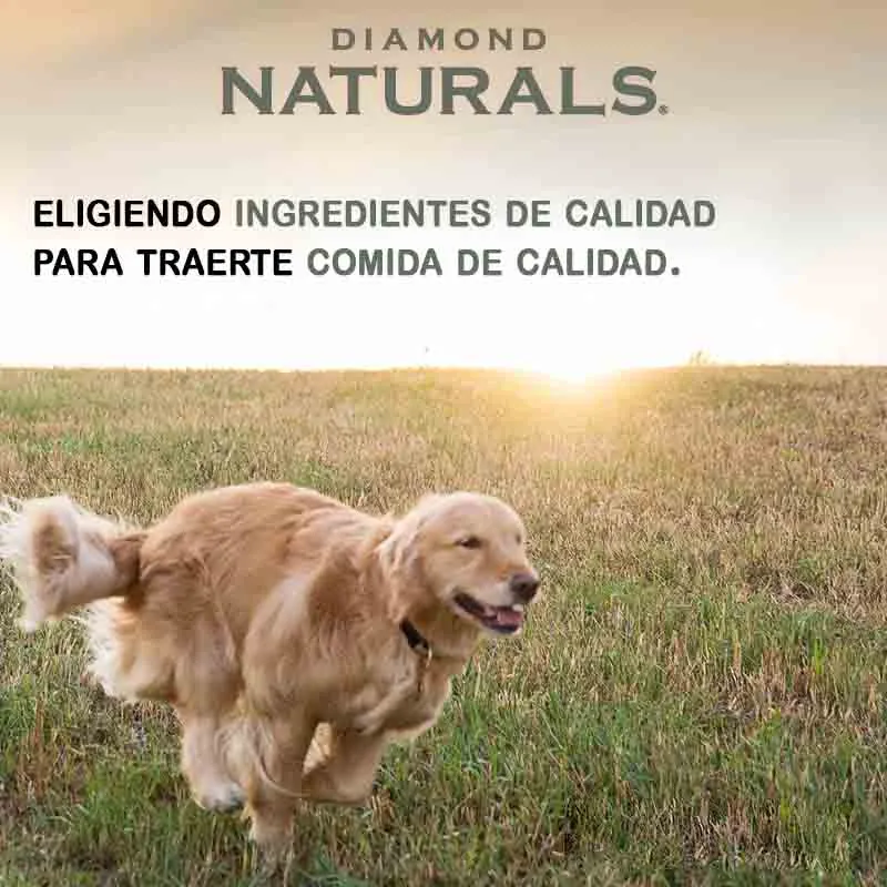 Diamond Naturals - Senior 8+