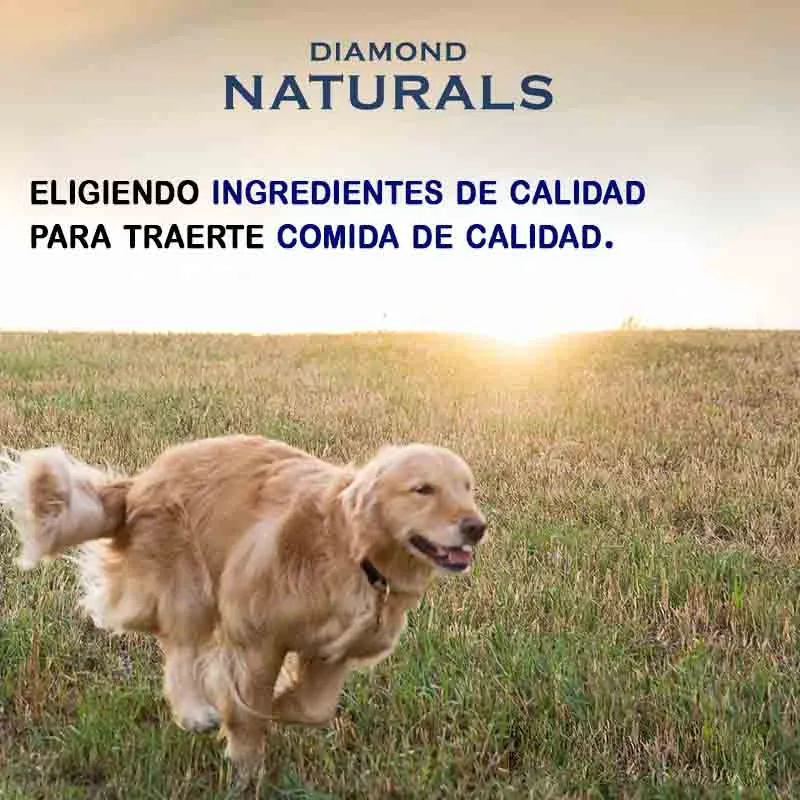 Diamond Naturals - Adult Small Breed