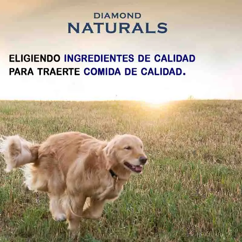 Diamond - Naturals Puppy Lamb Rice Large Breed