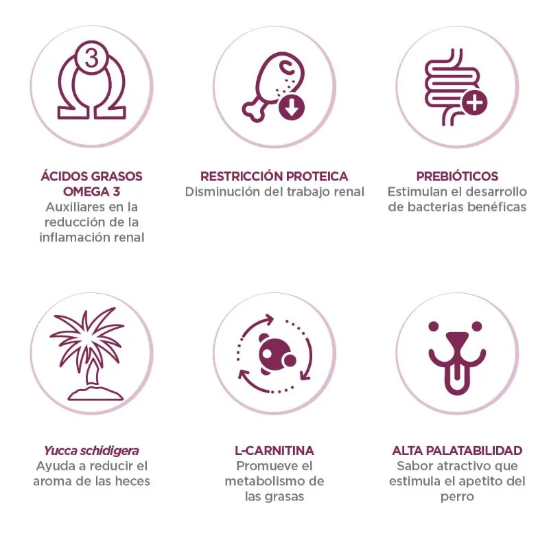 Nupec - Renal Care