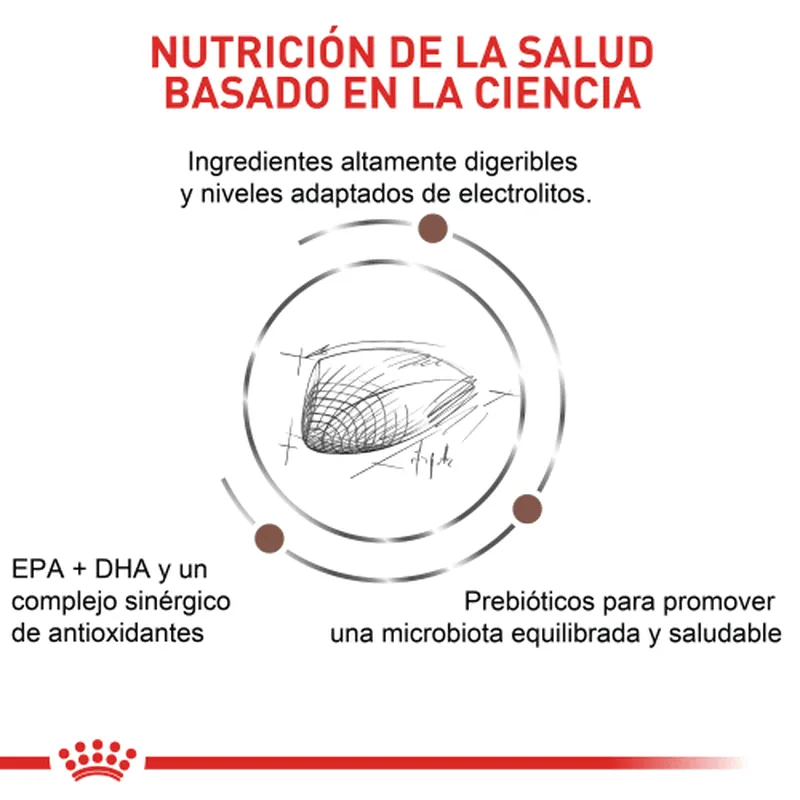Royal Canin - Gastro Intestinal Cat