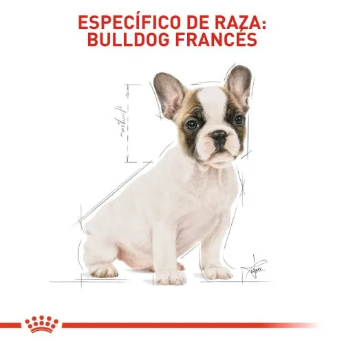 Royal Canin - Bulldog Frances Puppy