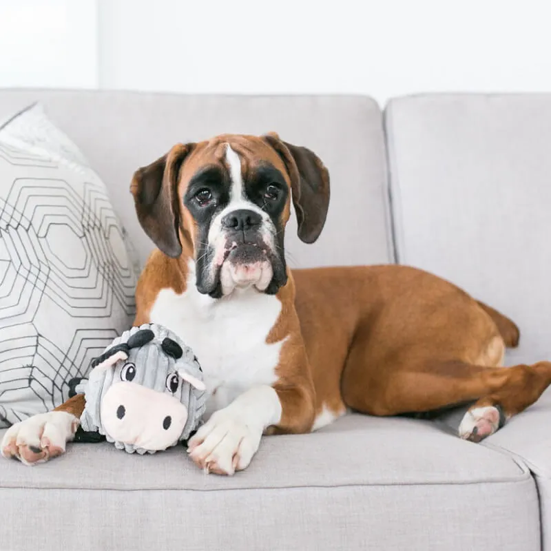 Outward Hound - Perro Peluche Fattiez Vaca