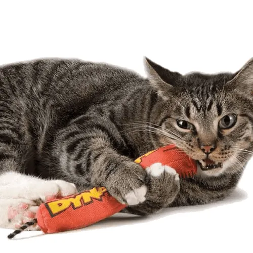 Petstages - Juguete Catnip Red Magic Dynamite