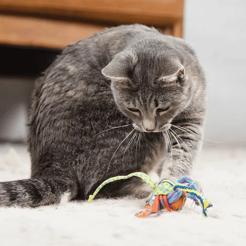 Petstages - Pelota Con Catnip