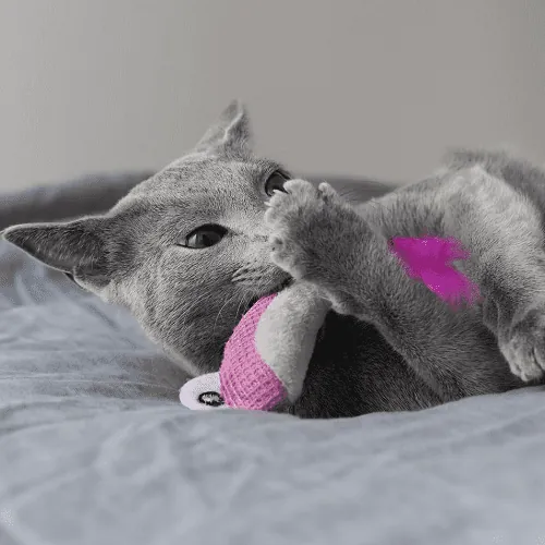 Petstages - Peluche Dental Pescados