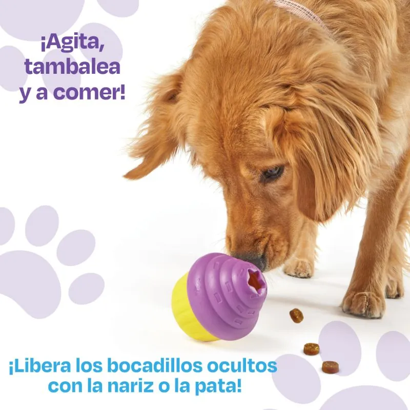 Brightkins - Dispensador Grande De Premios En Forma De Cupcakes