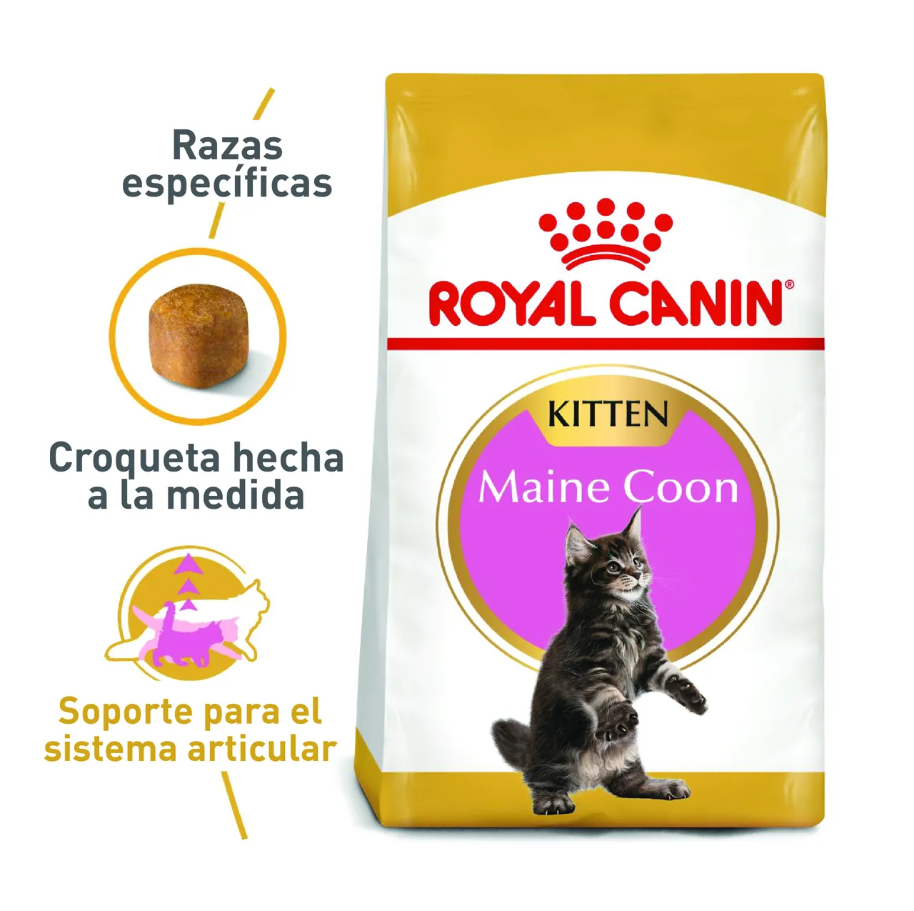 Royal Canin - Maine Coon Kitten