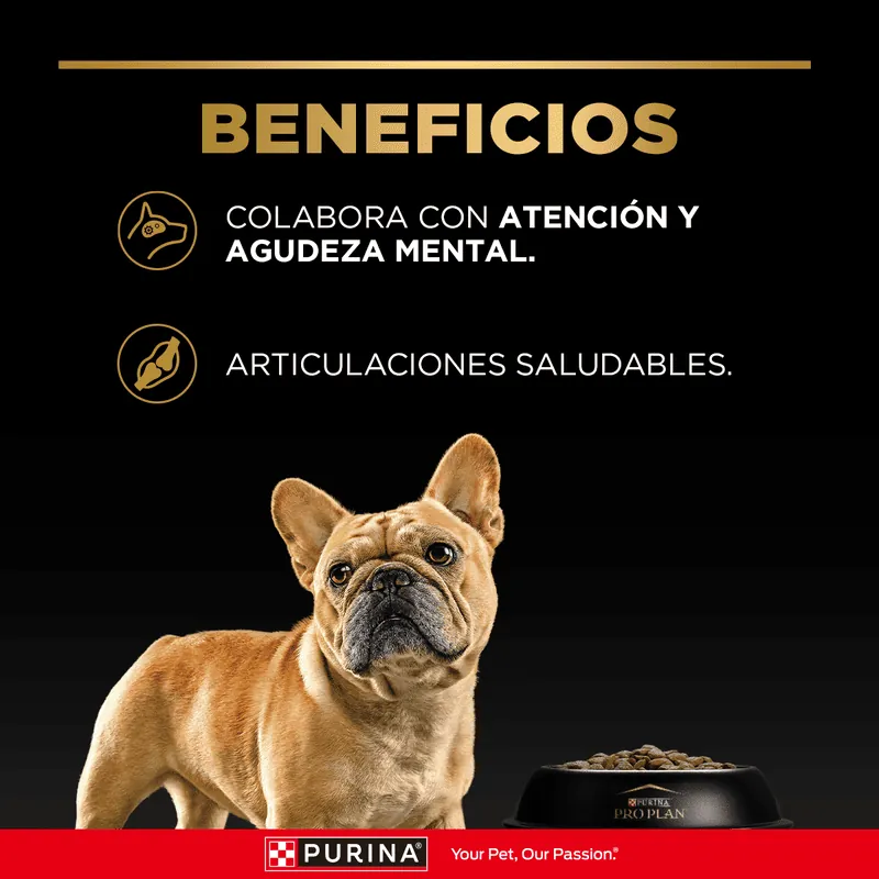 Pro Plan - Adultos razas pequeñas