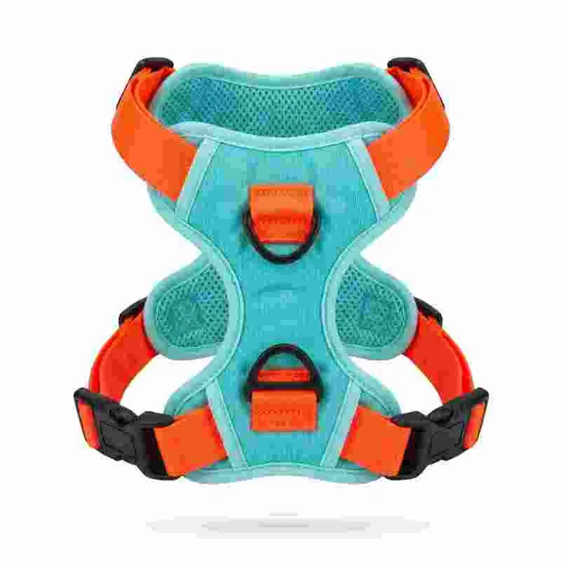 Paw Day - Arnes Essential Menta - Naranja
