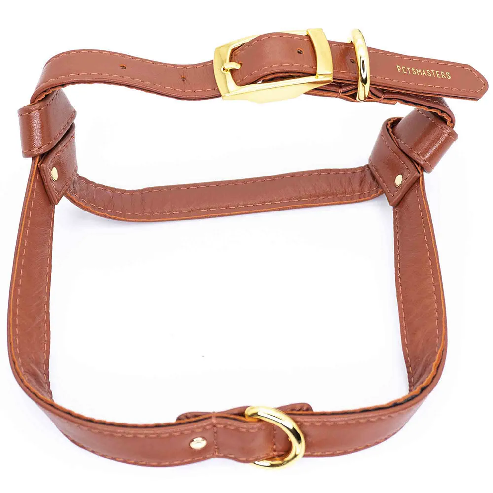 PetsMasters - Pechera Cuero Sintético Dos Piezas Importado