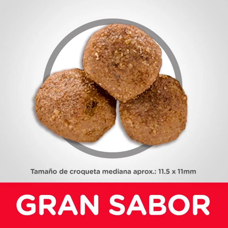 Hills Sd- Alimento Saludable Perro Adulto Sabor Cordero