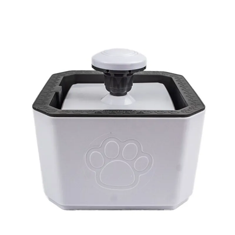 Paw Day - Fuente Cuadrada