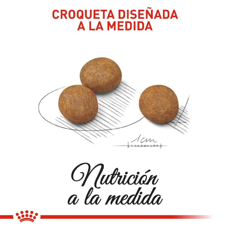 Royal Canin - Maxi Puppy