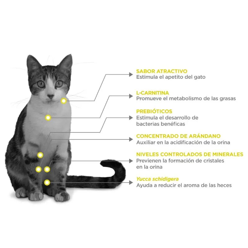 Nupec - Felino Urinary Management