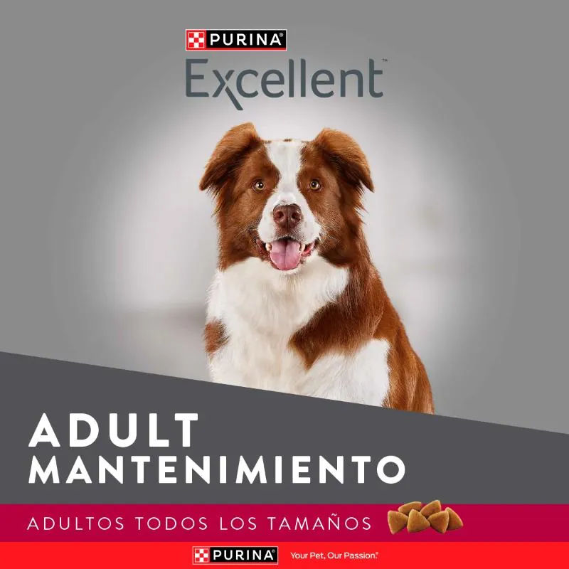 Excellent - Adulto Maintenance Formula