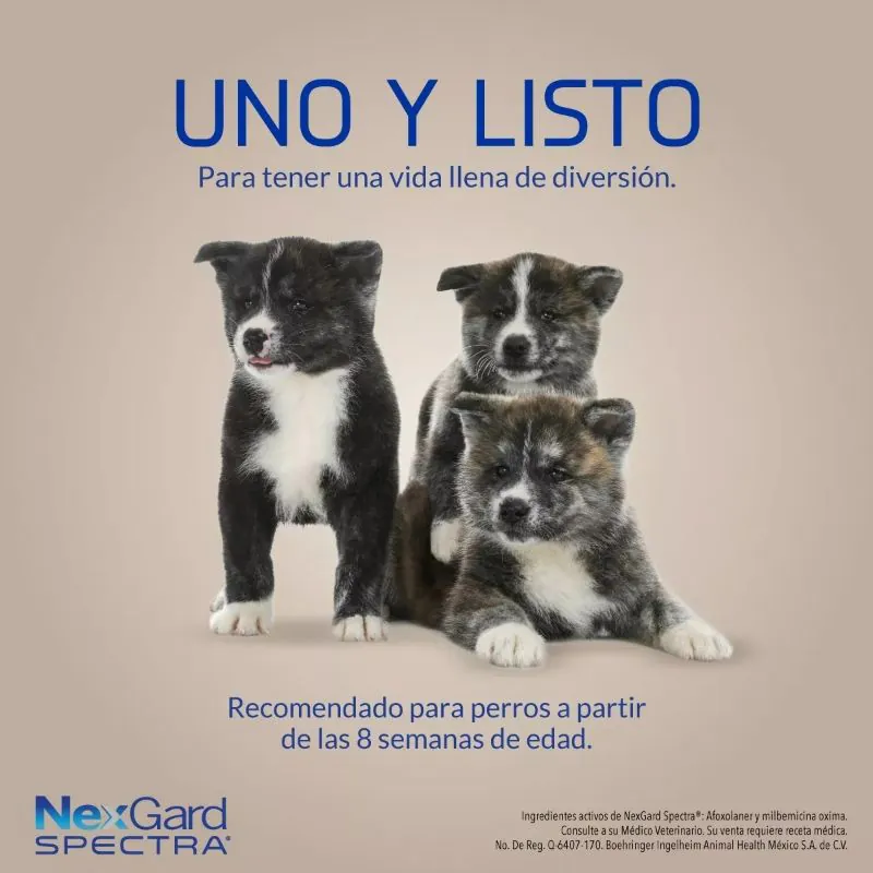 NexGard Spectra - Tableta Masticable para Perros 2 - 3.5 KG