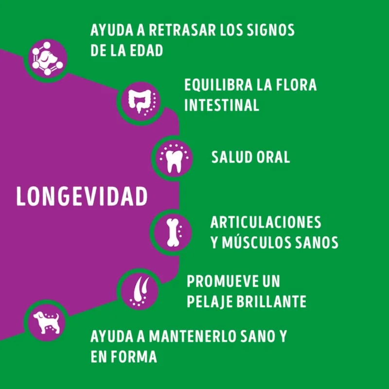 Dog Chow - Longevidad Adultos 7+