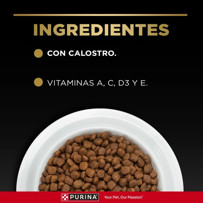 Pro Plan - Gatitos Con Optistart
