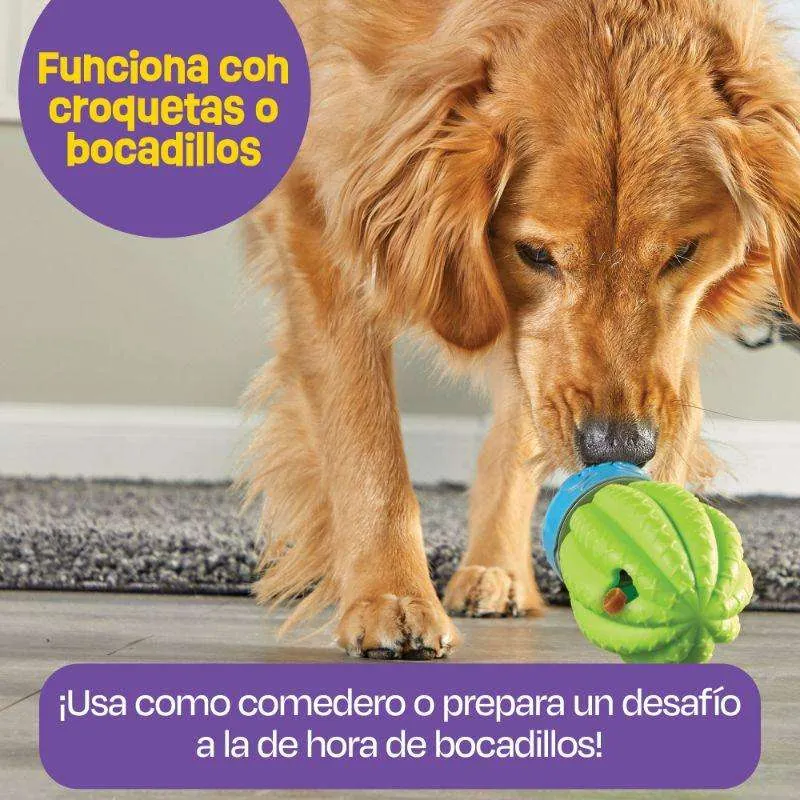 Brightkins - Dispensador De Premios En Forma De Cactus