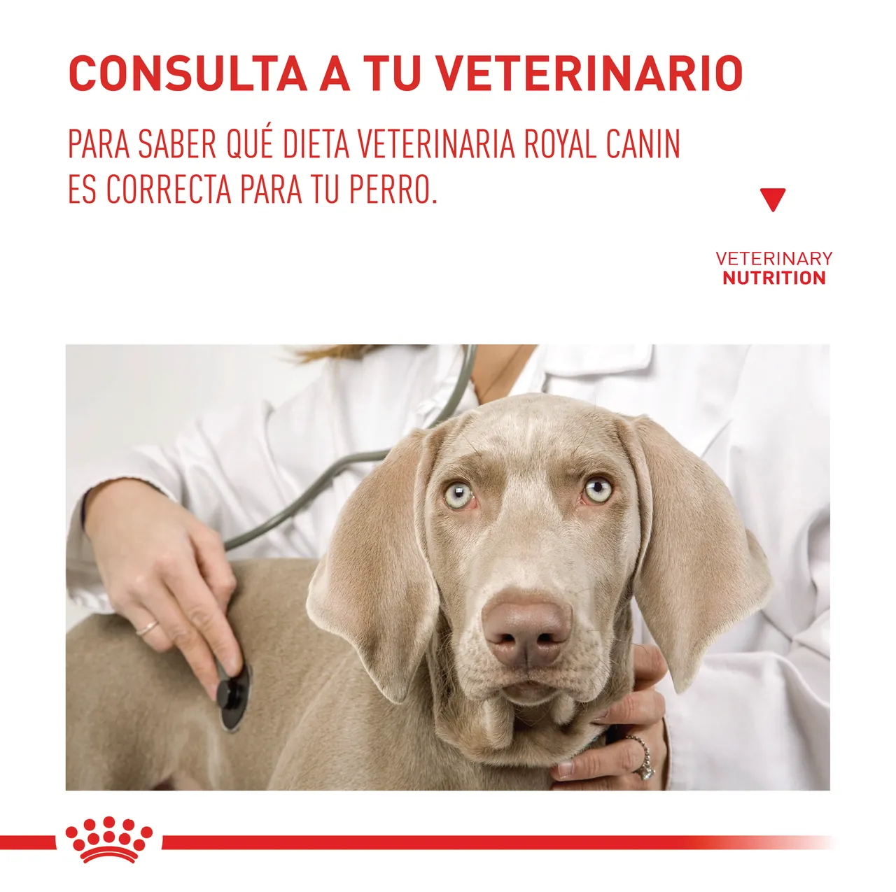 Royal Canin Gastro Intestinal Low Fat Veterinary Diet