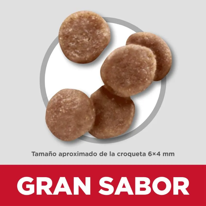 Hills Sd - Kitten Alimento Saludable Para Gatitos Sabor Pollo