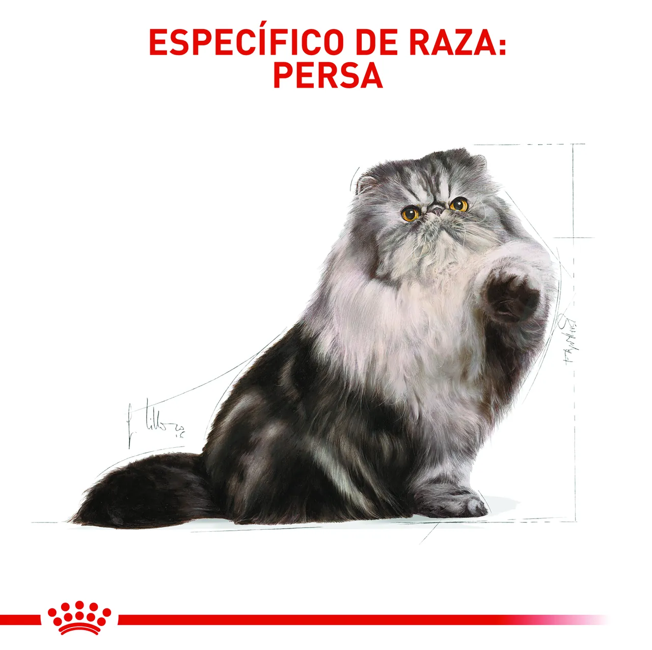Royal Canin - Fbn Persian Adult