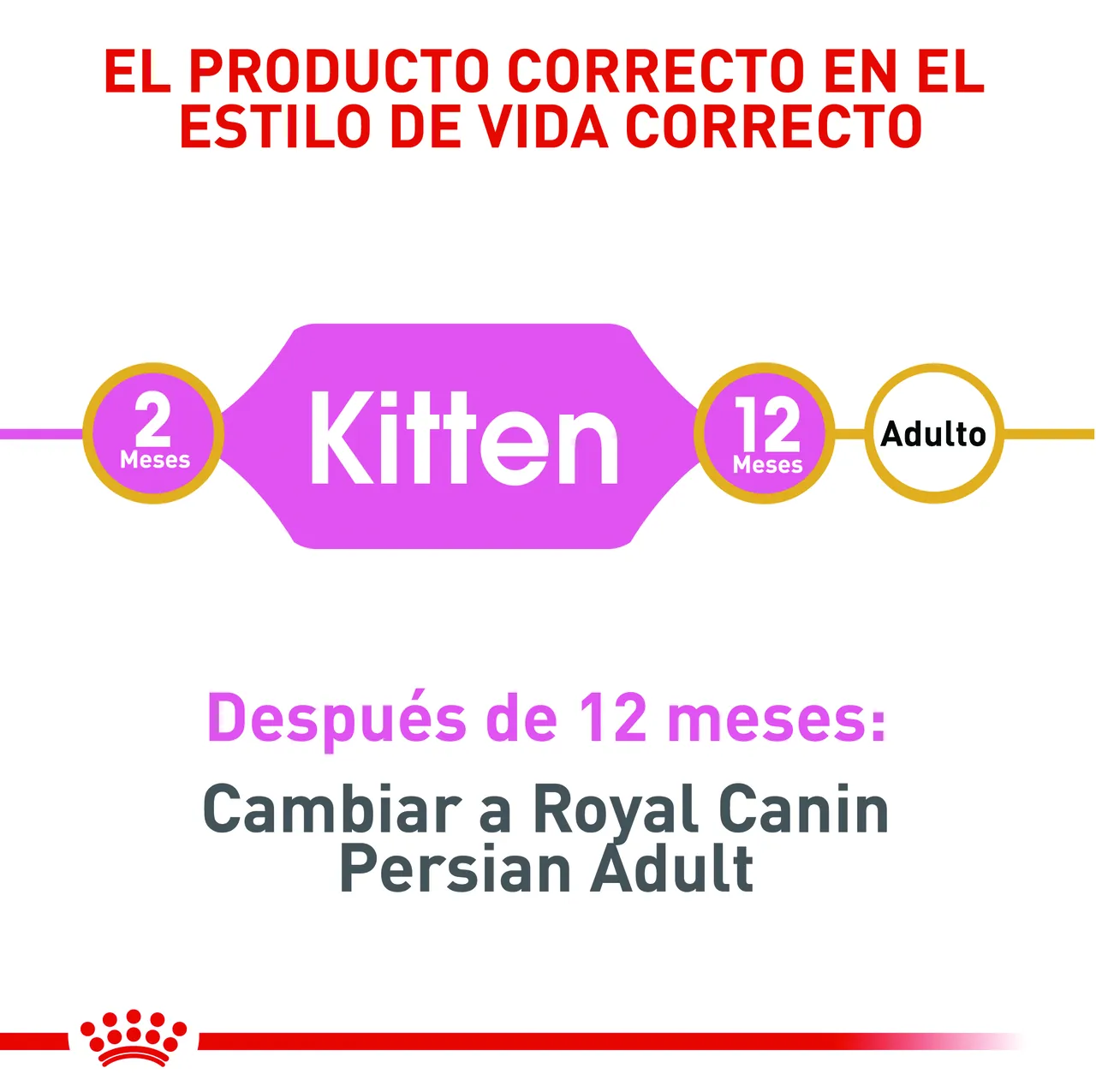 Royal Canin - Fbn Persian Kitten