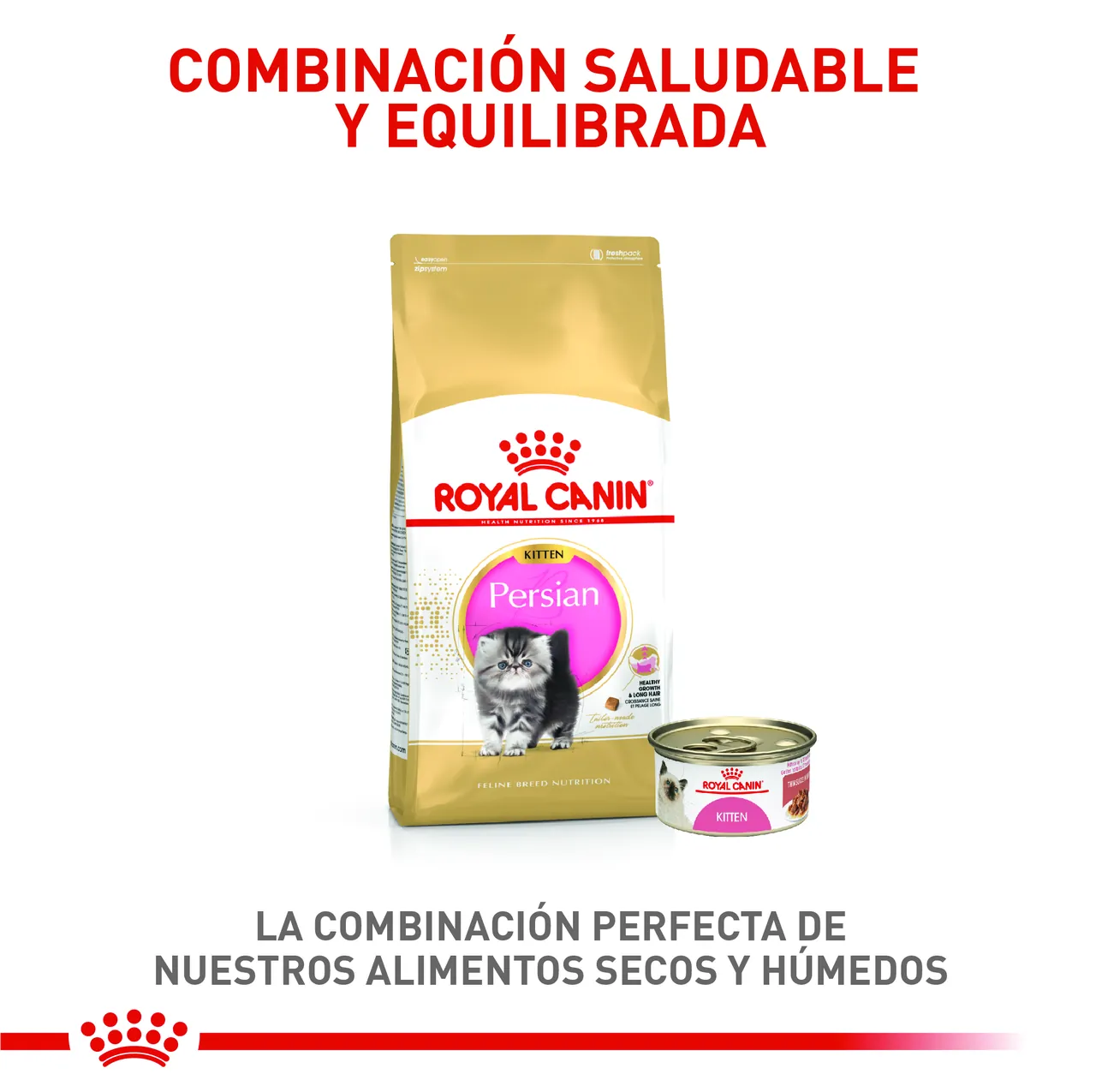Royal Canin - Fbn Persian Kitten