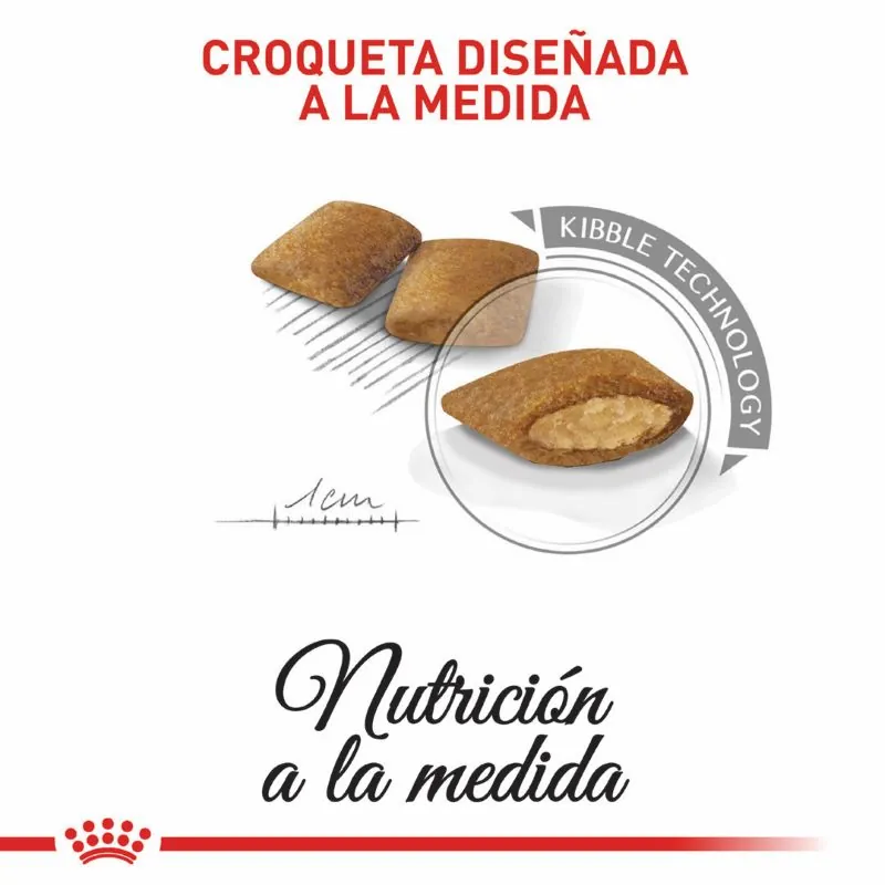 Royal Canin - Alimento Perro Mini Exigent